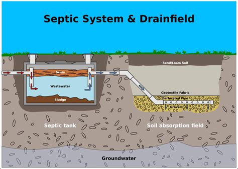 right size of excavator for septic tank replacement